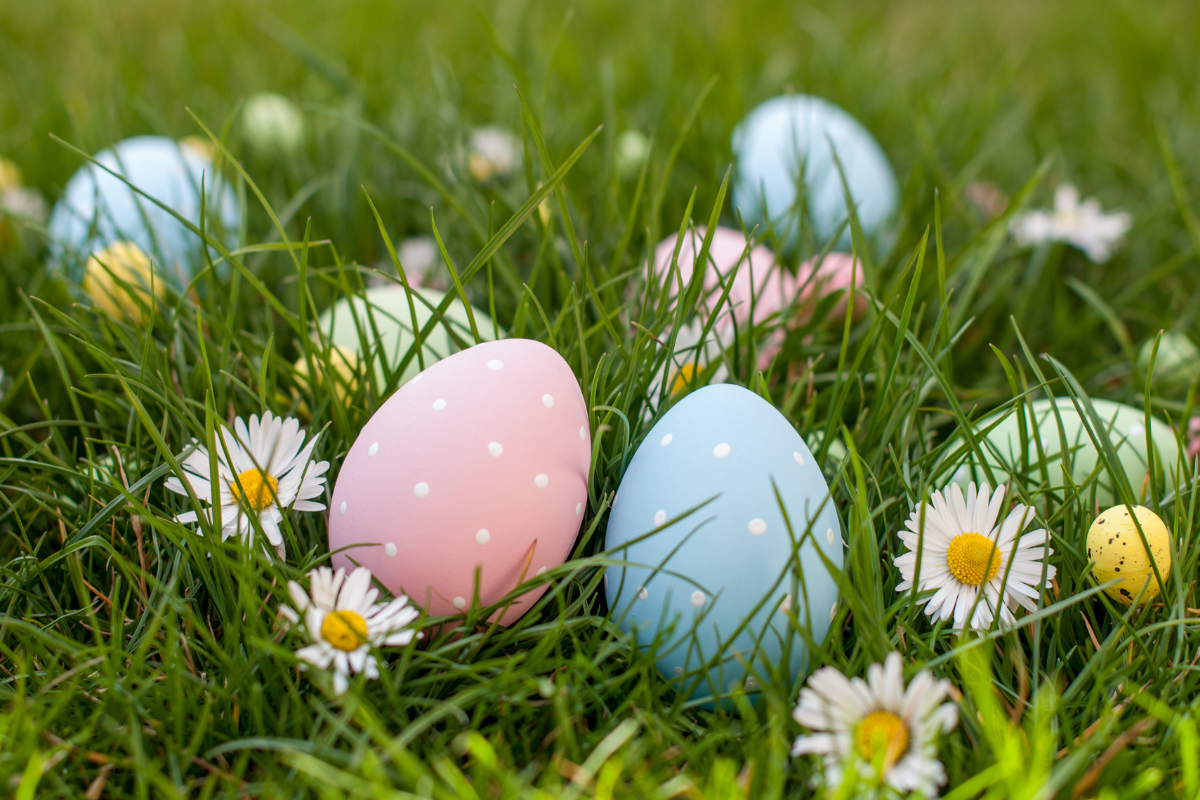 Easter eggs in grass